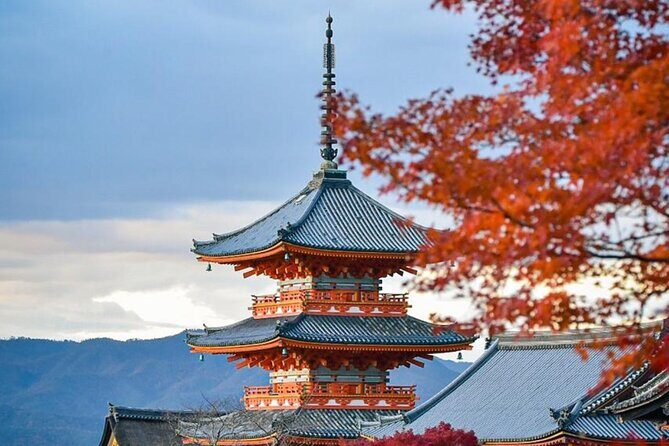 Kyoto Private Customized Day Tour with Guide - The Sum Up: Who Will Love This Tour?