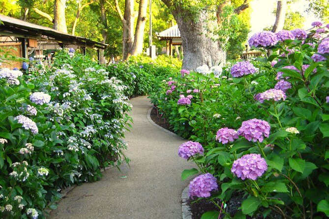 Kyoto Private Hydrangea Tour by Car and Rail - FAQ