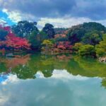 Kyoto Private Sightseeing Tours with English Speaking Driver - Final Thoughts