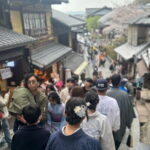 Kyoto private tour |english speaking driver only : No guide - Practical Tips for Making the Most of Your Tour