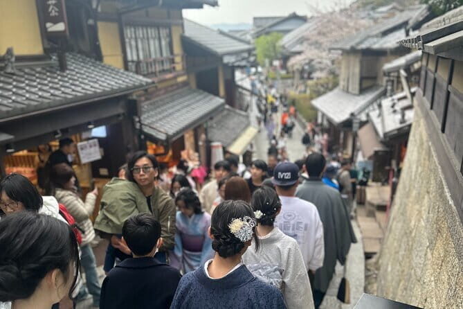 Kyoto private tour |english speaking driver only : No guide - Practical Tips for Making the Most of Your Tour