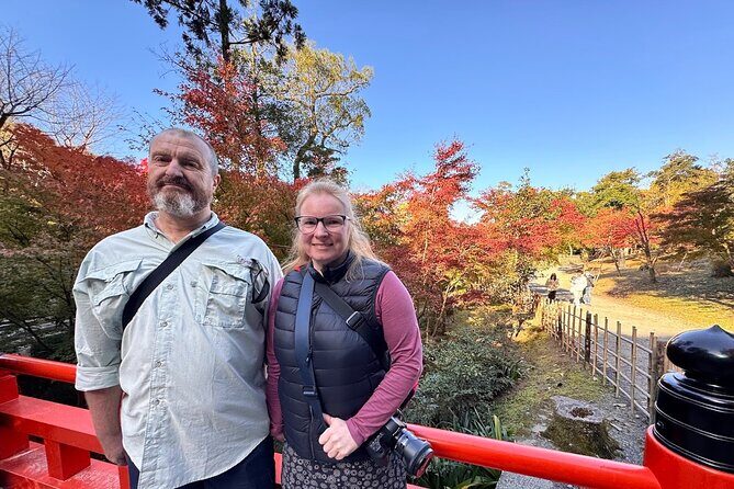 Kyoto Private Tour: One Day Highlights and Cultural Gems - Authentic Experiences That Hit the Mark
