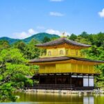 Kyoto Private Tour with National Licensed Guide from Osaka - What Makes This Tour Stand Out?