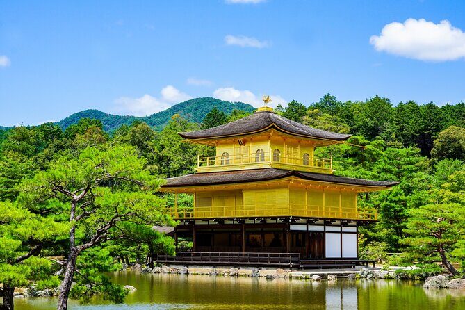 Kyoto Private Tour with National Licensed Guide from Osaka - What Makes This Tour Stand Out?