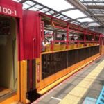 Kyoto: Sagano Scenic Railway, River Cruise, & Sake Tour - Final Thoughts