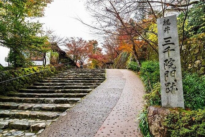 Kyoto Sansen-in Arashiyama Train 1 Day Tour from Osaka or Kyoto - The Sum Up: Is This Tour Right for You?