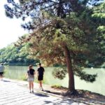 Kyoto: Serene Morning Walk in Arashiyama Bamboo Grove - Who Should Consider This Tour?