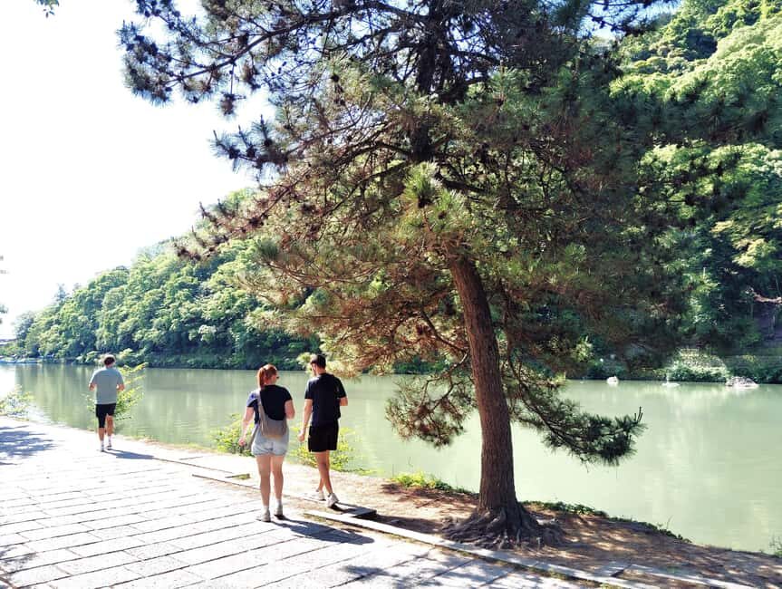 Kyoto: Serene Morning Walk in Arashiyama Bamboo Grove - Who Should Consider This Tour?