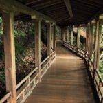 Kyoto: Serene Stroll Through Eikandos Timeless Temple Paths - In-Depth Look at the Experience