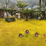 Kyoto Shore Excursion from Osaka with Japanese Guide - What Travelers Say and Why We Like This Tour