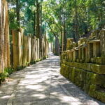 Kyoto to Mt. Koya One Day Walking Tour - The Full Experience: A Detailed Breakdown