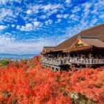 Kyoto & Uji Day Tour: Golden Pavilion, Kiyomizu & Matcha Street - Who Would Love This Tour?