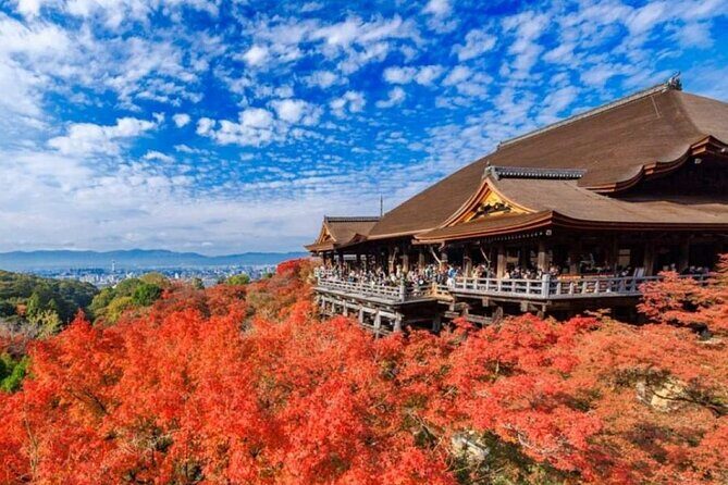 Kyoto & Uji Day Tour: Golden Pavilion, Kiyomizu & Matcha Street - Who Would Love This Tour?