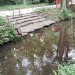 Kyoto: Walk Through History in Shimogamos Sacred Woods - FAQs