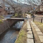 Kyoto:Philosophers Path Seasonal Walk - What Makes This Tour Stand Out?