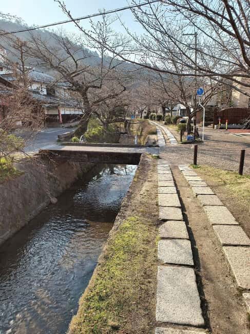 Kyoto:Philosophers Path Seasonal Walk - What Makes This Tour Stand Out?