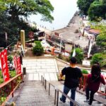 Lake Biwa: Mystical Chikubu Island Boat Tour from Many Ports - Practical Details: What to Expect