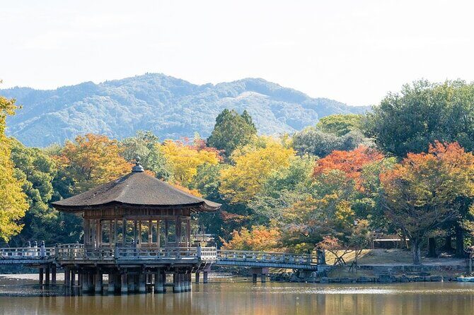 Lake Biwa Shirahige Shrine and Ukimido Day Tour from Osaka Kyoto - Why This Tour Offers Great Value