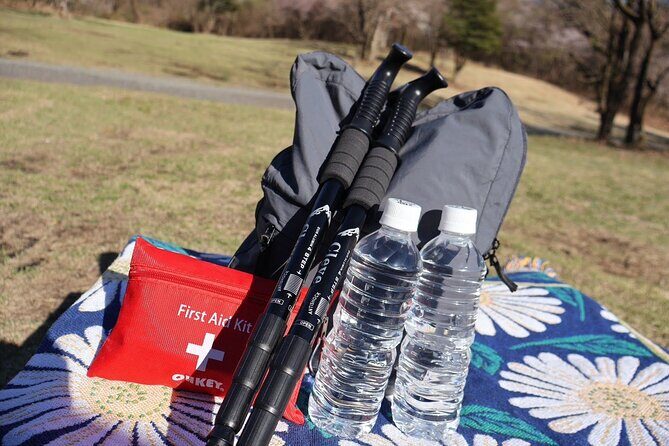 Lake Kawaguchi Private Hiking Tour with local guide - Who Is This Tour Best For?