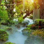 Lalita Cafe & Chiang Rai Temple(White+Blue) from Chiangmai - The White Temple: A Masterpiece of Modern Buddhist Art