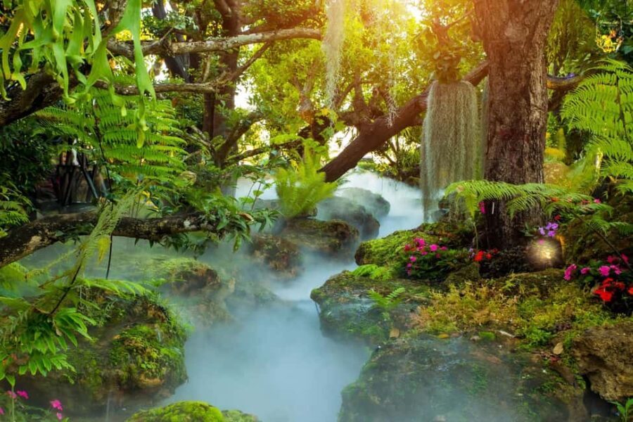Lalita Cafe & Chiang Rai Temple(White+Blue) from Chiangmai - The White Temple: A Masterpiece of Modern Buddhist Art
