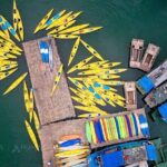 Lan Ha Bay Full Day Boat Tour from Hanoi/ Cat Ba - What Makes This Tour Stand Out?