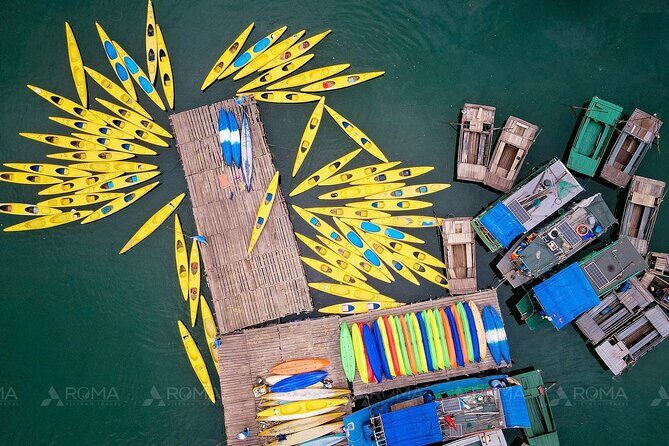 Lan Ha Bay Full Day Boat Tour from Hanoi/ Cat Ba - What Makes This Tour Stand Out?