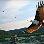 Langkawi Return Airport Transfers (Combo Arrival & Departure) - A Detailed Look at the Langkawi Return Airport Transfers Experience