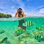 Langkawi Tour A - Land Tour & Pulau Dangli Snorkeling - The Sum Up