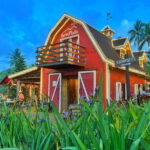 Legazpi City Half Day Tour with ATV Adventure by ZCHEDULISTA - Final Thoughts