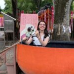 Legends of Sumiyoshi Taisha Shrine with Japanese Drink in Osaka - The Itinerary in Detail