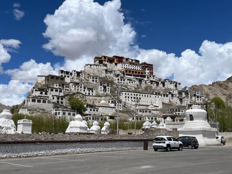 Leh: 4-Day Tour to Leh Ladakh Pangong Lake and Monasteries - Who Will Appreciate This Tour?