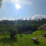 Lemukih Hidden Trekking Waterslide Sekumpul and Fiji Waterfall - Final Thoughts: Who Should Book This Tour?