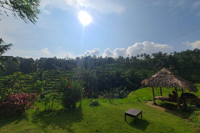 Lemukih Hidden Trekking Waterslide Sekumpul and Fiji Waterfall - Final Thoughts: Who Should Book This Tour?