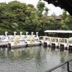 Let's take a walk in the park together!!! - Who Should Consider This Tour?