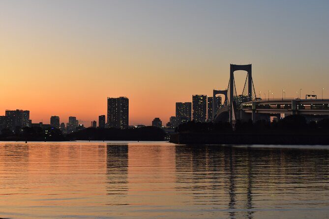 Lights of Tokyo: Tokyo Bay, Ginza and Shinbashi - Who Is This Tour Best For?