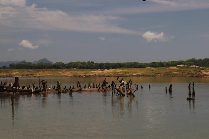 Live among swimming elephants and indigenous tribes  Gal Oya National Park - Who Will Love This Tour?