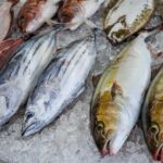 Local fresh fish shop premium backyard experience - FAQ