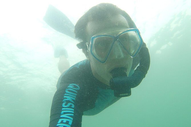 Local Reef Snorkelling and Deserted Beach - What the Reviews Say