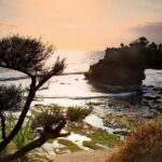 Lombok City Tour: Private Temple Tour with Lunch - Who Would Love This Tour?