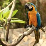 Lombok Wildlife Park Skip the Line Ticket - The Experience’s Unique Selling Points