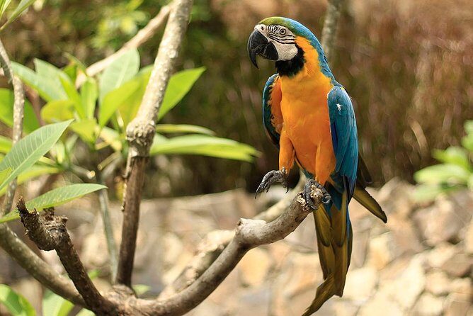 Lombok Wildlife Park Skip the Line Ticket - The Experience’s Unique Selling Points