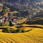 Longji Dazhai Rice Terraces Day Tour Cable Car Adventure - The Experience: Authenticity Meets Comfort