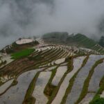 Longji Rice Terraces Hiking Tour Full Day Adventure - The Value of This Tour