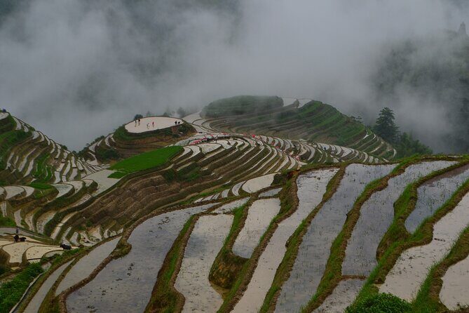 Longji Rice Terraces Hiking Tour Full Day Adventure - The Value of This Tour