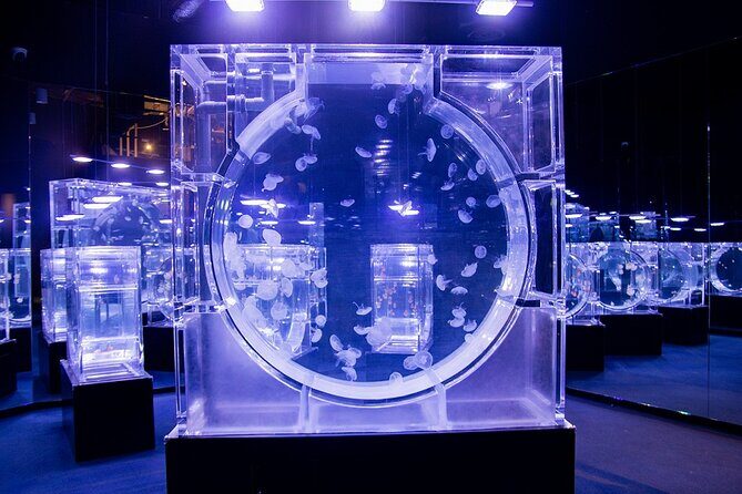 Lotte World Aquarium Hanoi Admission Ticket - Who Would Love This Experience?