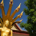 Luang Prabang Half Day City Tour - Who Should Consider This Tour?