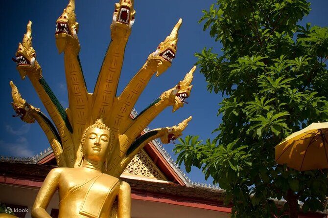 Luang Prabang Half Day City Tour - Who Should Consider This Tour?