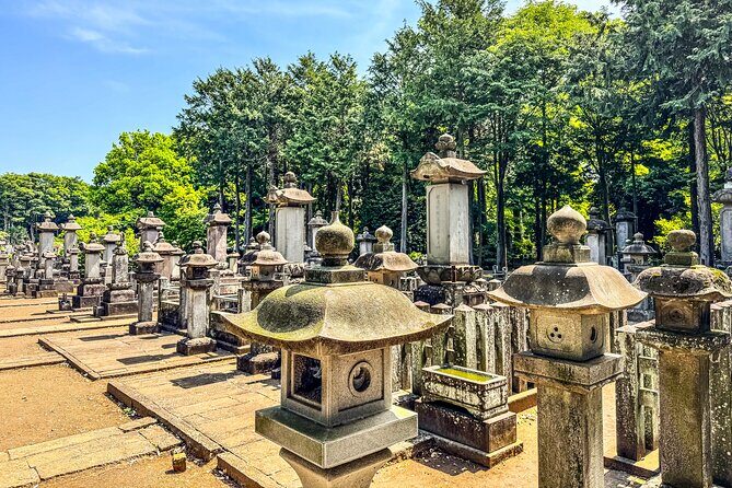 Lucky Cats Temple & Old Tokyo Yanaka 1/2-Day Walking Private Tour - Practical details and what to expect