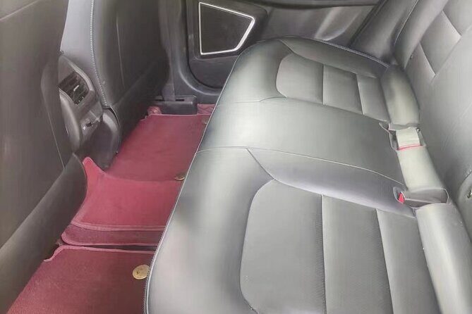 Luoyang private car for Longmen Grottoes and Shaolin temple - Deep Dive into the Experience